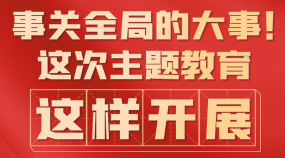 事關(guān)全局的大事！這次主題教育，這樣開展